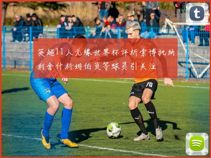 英超11人无缘世界杯评析索博托纳利舍什科姆伯莫等球员引关注